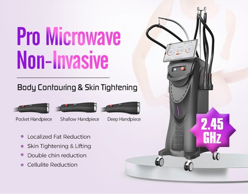 microwave fat reduction microwave fat reduction